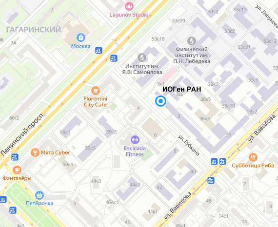 Расположение ИОГен РАН